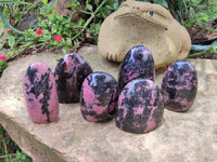 Polished Rhodonite Standing Free Forms x 6 From Ambindavato, Madagascar