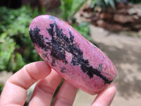 Polished Rhodonite Standing Free Forms x 6 From Ambindavato, Madagascar