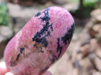 Polished Rhodonite Standing Free Forms x 6 From Ambindavato, Madagascar