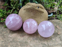 Polished Gemmy Rose Quartz Spheres x 3 From Madagascar