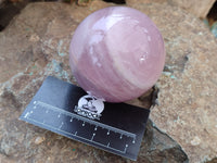 Polished Gemmy Rose Quartz Spheres x 3 From Madagascar