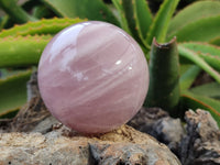 Polished Gemmy Rose Quartz Spheres x 3 From Madagascar