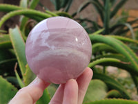 Polished Gemmy Rose Quartz Spheres x 3 From Madagascar