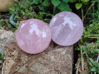 Polished Gemmy Rose Quartz Spheres x 3 From Madagascar