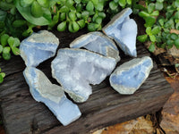 Natural Blue Lace Agate Geode Specimens x 6 From Malawi