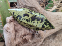 Polished Double Terminated Leopard Stone Points x 3 From Zimbabwe