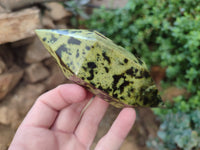 Polished Double Terminated Leopard Stone Points x 3 From Zimbabwe