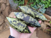 Polished Double Terminated Leopard Stone Points x 3 From Zimbabwe