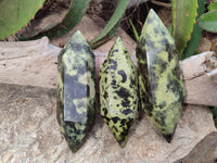 Polished Double Terminated Leopard Stone Points x 3 From Zimbabwe