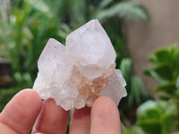 Natural Amethyst Cactus Spirit Quartz Clusters x 12 From Boekenhouthoek, South Africa