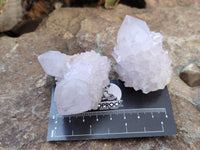 Natural Amethyst Cactus Spirit Quartz Clusters x 12 From Boekenhouthoek, South Africa