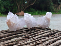 Natural Amethyst Cactus Spirit Quartz Clusters x 12 From Boekenhouthoek, South Africa