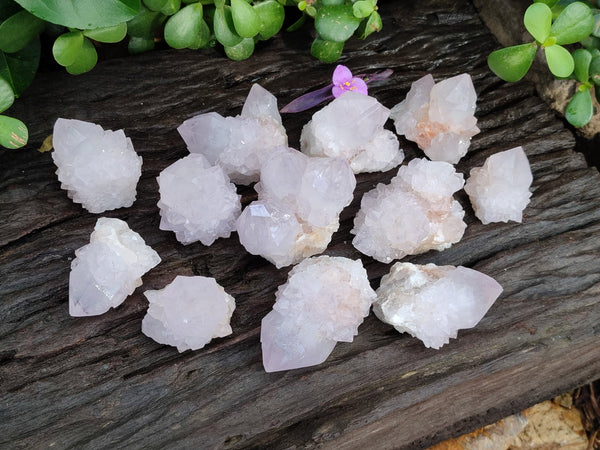 Natural Amethyst Cactus Spirit Quartz Clusters x 12 From Boekenhouthoek, South Africa