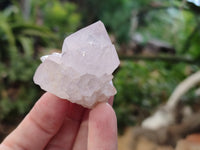 Natural Amethyst Cactus Spirit Quartz Clusters x 12 From Boekenhouthoek, South Africa