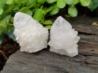 Natural Amethyst Cactus Spirit Quartz Clusters x 12 From Boekenhouthoek, South Africa