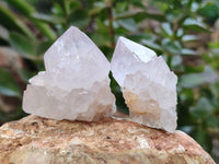 Natural Amethyst Cactus Spirit Quartz Clusters x 12 From Boekenhouthoek, South Africa