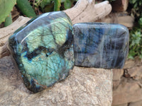 Polished Labradorite Standing Free Forms x 2 From Tulear, Madagascar