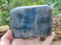 Polished Labradorite Standing Free Forms x 2 From Tulear, Madagascar