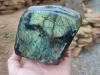 Polished Labradorite Standing Free Forms x 2 From Tulear, Madagascar