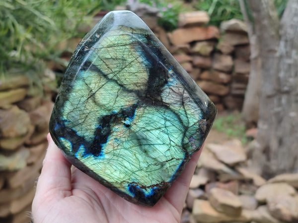 Polished Labradorite Standing Free Forms x 2 From Tulear, Madagascar