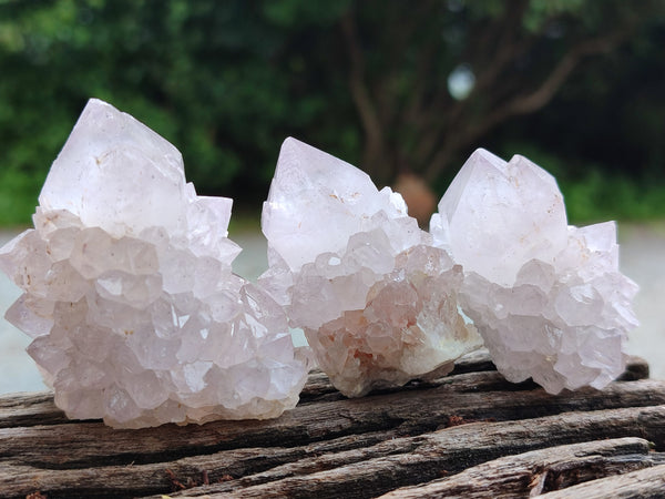 Natural Amethyst Spirit Quartz Clusters x 12 From Boekenhouthoek, South Africa