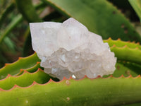 Natural Amethyst Spirit Quartz Clusters x 12 From Boekenhouthoek, South Africa