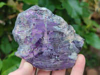 Polished On One Side Metallic Purpurite Specimens x 6 From Namibia