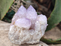 Natural Amethyst Spirit Quartz Clusters x 6 From Boekenhouthoek, South Africa