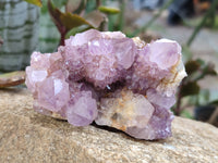 Natural Amethyst Spirit Quartz Clusters x 6 From Boekenhouthoek, South Africa