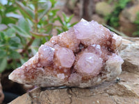 Natural Amethyst Spirit Quartz Clusters x 6 From Boekenhouthoek, South Africa