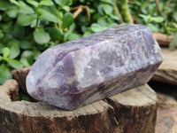 Polished Lepidolite with Pink Rubellite Points x 2 From Ambatondrazaka, Madagascar