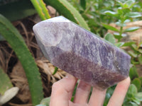 Polished Lepidolite with Pink Rubellite Points x 2 From Ambatondrazaka, Madagascar