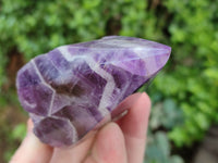 Polished Chevron Amethyst Witches Hat Crystals x 3 From Zambia