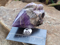 Polished Chevron Amethyst Witches Hat Crystals x 3 From Zambia