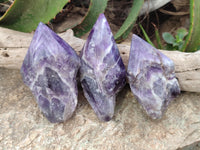 Polished Chevron Amethyst Witches Hat Crystals x 3 From Zambia