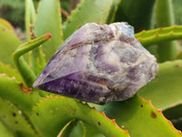 Polished Chevron Amethyst Witches Hat Crystals x 3 From Zambia