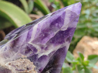 Polished Chevron Amethyst Witches Hat Crystals x 3 From Zambia