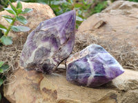 Polished Chevron Amethyst Witches Hat Crystals x 3 From Zambia