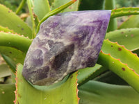 Polished Chevron Amethyst Witches Hat Crystals x 3 From Zambia