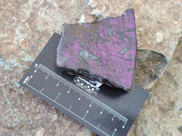 Polished On One Side Purpurite x 12 From Namibia