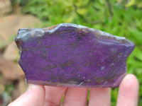 Polished On One Side Purpurite x 12 From Namibia