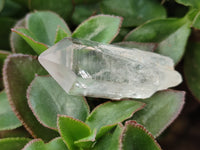 Natural Smokey Amethyst Crystals x 12 From Brandberg, Namibia