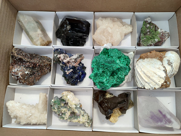 Natural Assortment Of Specimens x 12 From Southern Africa