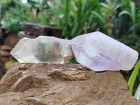 Natural Assortment Of Specimens x 12 From Southern Africa