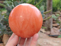 Polished Orange Twist Calcite Spheres x 2 From Madagascar