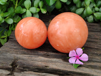 Polished Orange Twist Calcite Spheres x 2 From Madagascar