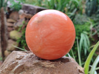 Polished Orange Twist Calcite Spheres x 2 From Madagascar