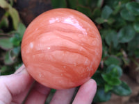 Polished Orange Twist Calcite Spheres x 2 From Madagascar