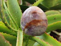 Polished Chevron Amethyst Standing Free Form x 6 from Madagascar