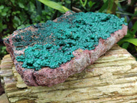 Natural Ball Malachite On Dolomite Matrix Specimen x 1 From Kambove, Congo